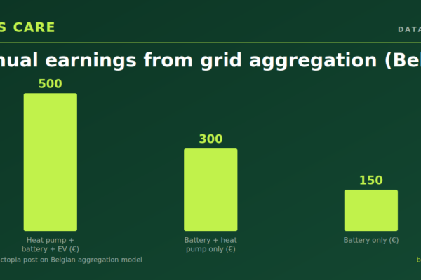 Belgian Households Can Now Earn Hundreds of Euros a Year by Letting the Grid Control Their Heat Pump, Battery, and EV Charger — Here Is the Policy Shift Behind It