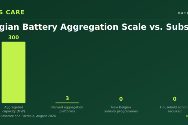 Belgian Battery Subsidies Are Stalling While Aggregators Turn Home Batteries Into Grid Assets Without Them